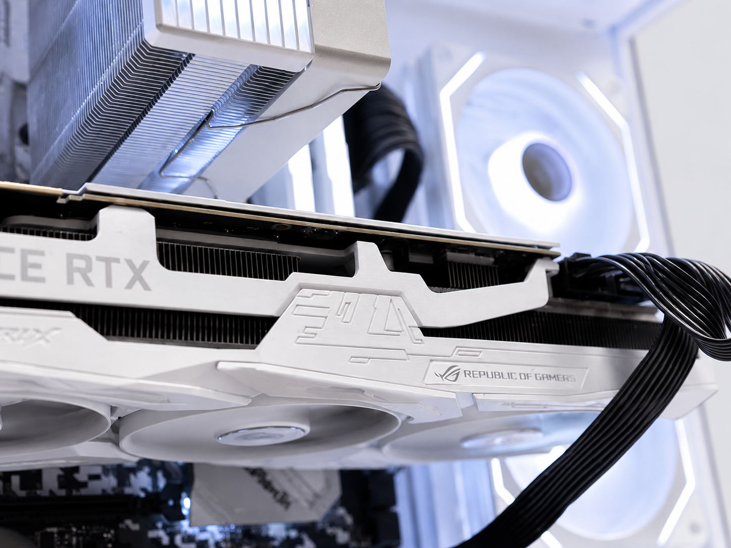 NZ Polar - 5500 | RTX 5050 | 512 GB NVME | 16 GB DDR4